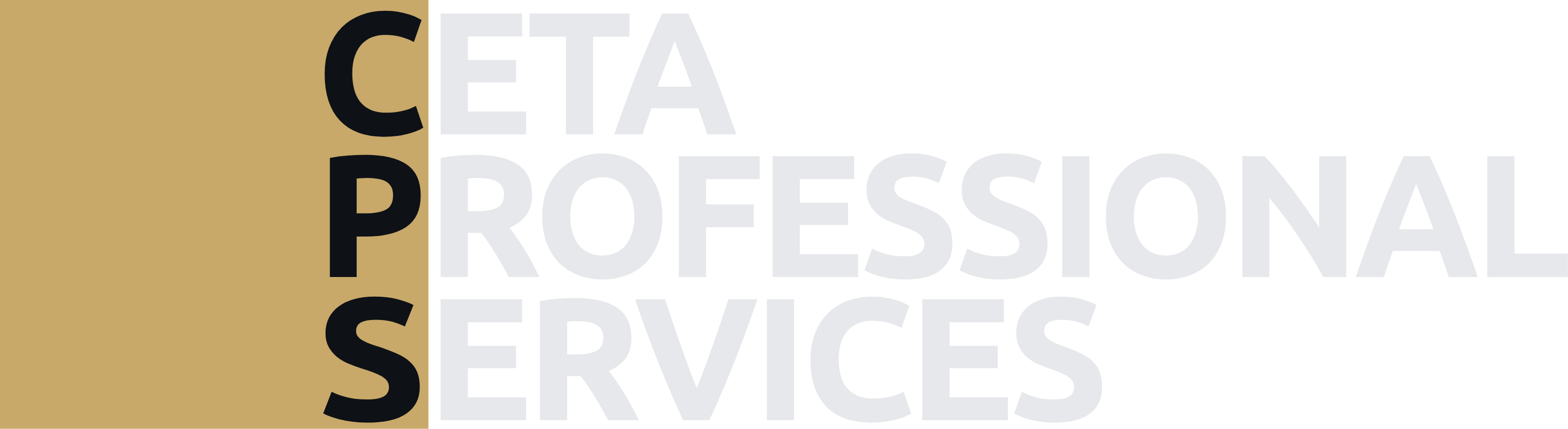 CETA Professional Services
