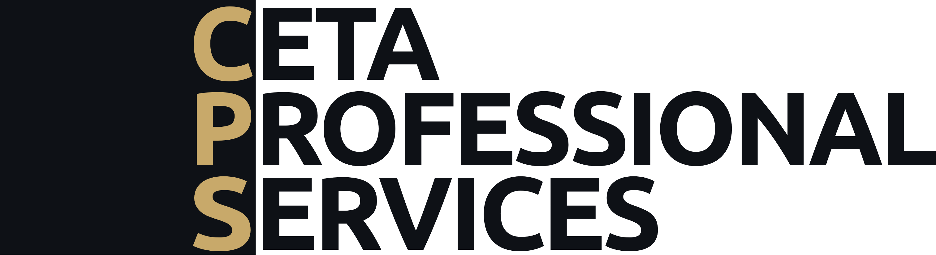 CETA Professional Services